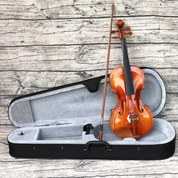 Violon