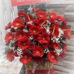 Giỏ hoa đồng tiền BNG577