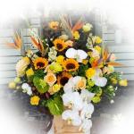 Lãng hoa mừng khai trương BNG572