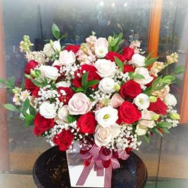 Lãng hoa tươi BNG534