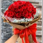 Yêu lại từ đầu - HB569