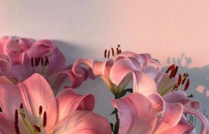 Thủy Canh Cây Có Hoa: Kỹ Thuật Trồng Trong Nước Tối Giản Cho Không Gian Hiện Đại